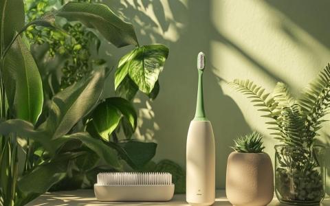 Fürdőszoba növényekkel